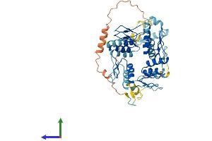Protein Structure (PS) image for Zinc Finger Protein 25 (ZNF25) (AA 1-456) protein (His tag) (ABIN7545700)