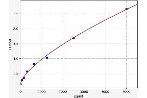 Typical standard curve (Superoxide dismutase copper chaperone ELISA 试剂盒)