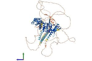 Protein Structure (PS) image for IQ Motif and Sec7 Domain 1 (IQSEC1) (AA 1-961) protein (His tag) (ABIN7564686)