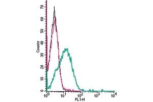 Cell surface detection of Cav1.
