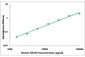 Representative Standard Curve (CD163 ELISA 试剂盒)