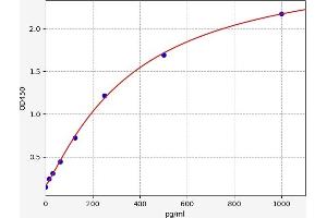 Chemokine (C-C Motif) Ligand 19 (CCL19) ELISA Kit