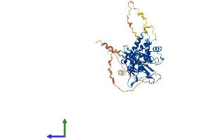Protein Structure (PS) image for Ubiquitin Specific Peptidase 30 (Usp30) (AA 1-517) protein (His tag) (ABIN7555908)