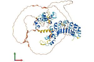 AlphaFold protein structure predicition of Mouse Recombinant Fbxl19 Protein, UniprotID Q6PB97