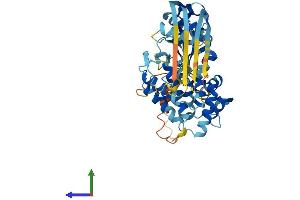 AlphaFold protein structure predicition of Human Recombinant GSDMD Protein, UniprotID P57764