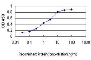 Detection limit for recombinant GST tagged GTF2I is approximately 0. (GTF2I 抗体  (AA 36-274))