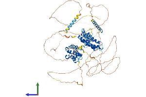 AlphaFold protein structure predicition of Human Recombinant BRD2 Protein, UniprotID P25440