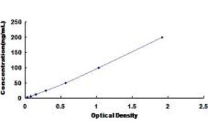 Typical standard curve (Acetyl-CoA Carboxylase alpha ELISA 试剂盒)