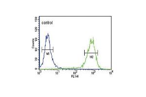 MC3R Antibody (Center) (ABIN652665 and ABIN2842446) flow cytometric analysis of K562 cells (right histogram) compared to a negative control cell (left histogram). (MC3R 抗体  (AA 86-112))