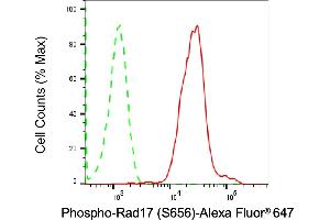 Flow cytometric analysis of Phospho-Rad17 (S656) expression in HAP-1 cells using Phospho-Rad17 (S656) antibody (ABIN7800113), 1:2,000). (Recombinant RAD17 抗体  (pSer656))
