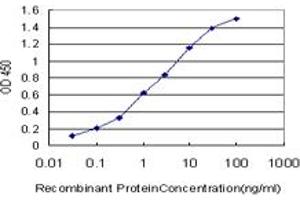 Detection limit for recombinant GST tagged GPR154 is approximately 0. (NPSR1 抗体  (AA 2-53))