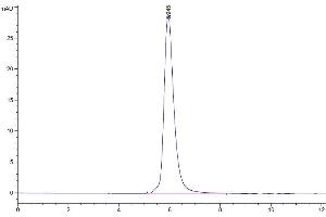 Size-exclusion chromatography-High Pressure Liquid Chromatography (SEC-HPLC) image for Colony Stimulating Factor 1 Receptor (CSF1R) (AA 20-512) protein (His-Avi Tag) (ABIN7274427)