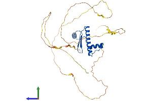 Protein Structure (PS) image for Myocyte Enhancer Factor 2B (MEF2B) (AA 1-365) protein (His tag) (ABIN7549303)