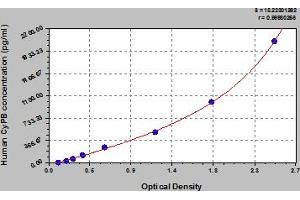 Typical Standard Curve (PPIB ELISA 试剂盒)