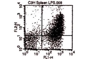 Flow Cytometry (FACS) image for anti-CD80 (CD80) antibody (ABIN951412) (CD80 抗体)