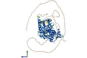 AlphaFold protein structure predicition of Human Recombinant ASH2L Protein, UniprotID Q9UBL3