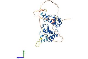 AlphaFold protein structure predicition of Human Recombinant RFFL Protein, UniprotID Q8WZ73