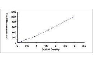 Growth Differentiation Factor 11 (GDF11) ELISA Kit