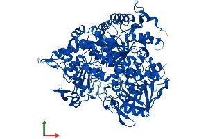 Protein Structure (PS) image for Aconitase 1 (ACO1) (AA 1-889) protein (His tag) (ABIN7563044)