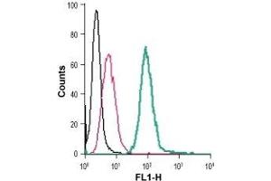 Cell surface detection of 5HT4 receptor in live intact mouse J774 macrophage cells: (black line) Cells. (Serotonin Receptor 4 抗体  (Extracellular) (FITC))