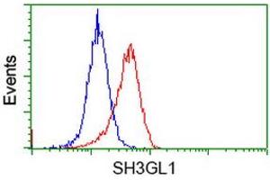 Image no. 2 for anti-SH3-Domain GRB2-Like 1 (SH3GL1) antibody (ABIN1500918) (SH3GL1 抗体)
