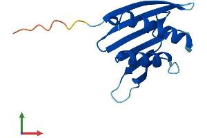 Protein Structure (PS) image for Proteasome (Prosome, Macropain) Assembly Chaperone 4 (PSMG4) (AA 1-123) protein (His tag) (ABIN7562803)