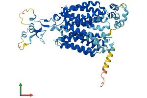 AlphaFold protein structure predicition of Mouse Recombinant Slc22a27 Protein, UniprotID Q76M72 (Slc22a27 Protein (AA 1-551) (His tag))