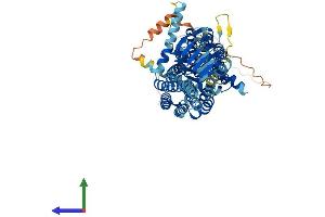 Protein Structure (PS) image for Synaptic Vesicle Glycoprotein 2B (SV2B) (AA 1-683) protein (His tag) (ABIN7558522)
