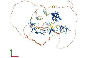 AlphaFold protein structure predicition of Human Recombinant LDB3 Protein, UniprotID O75112
