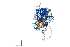 Protein Structure (PS) image for Suppressor of Fused Homolog (SUFUH) (AA 1-484) protein (His tag) (ABIN7565258)