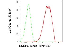Flow cytometric analysis of SNRPC expression in HAP-1 cells using SNRPC antibody (ABIN7800380), 1:2,000).