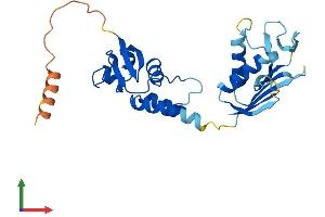 Protein Structure (PS) image for BTB (POZ) Domain-Containing Protein KCTD4 (KCTD4) (AA 1-259) protein (His tag) (ABIN7561100)