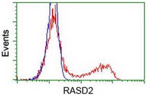 HEK293T cells transfected with either RC201454 overexpress plasmid (Red) or empty vector control plasmid (Blue) were immunostained by anti-RASD2 antibody (ABIN2453962), and then analyzed by flow cytometry. (RASD2 抗体)