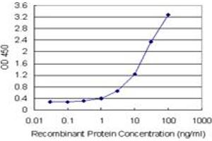 Sandwich ELISA detection sensitivity ranging from 0. (DNAJB2 (人) Matched Antibody Pair)