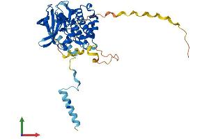 Protein Structure (PS) image for Mitogen-Activated Protein Kinase-Activated Protein Kinase 2 (MAPKAPK2) (AA 1-386) protein (His tag) (ABIN7563334)