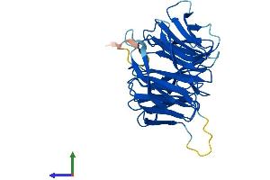 Protein Structure (PS) image for G protein beta subunit-like (GBL) (AA 1-326) protein (His tag) (ABIN7554443)