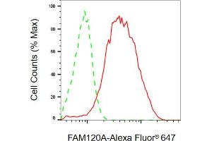 Flow cytometric analysis of FAM120A expression in HepG2 cells using FAM120A antibody (ABIN7798558), 1:2,000). (FAM120A 抗体)