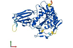 Protein Structure (PS) image for Bile Acid CoA: Amino Acid N-Acyltransferase (Glycine N-Choloyltransferase) (BAAT) (AA 1-420) protein (His tag) (ABIN7564806)