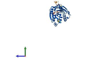 AlphaFold protein structure predicition of Human Recombinant ABHD14A Protein, UniprotID Q9BUJ0