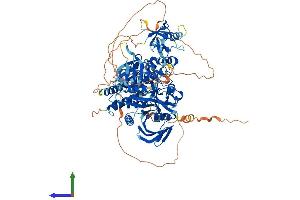 Protein Structure (PS) image for Tyrosine-Protein Phosphatase Non-Receptor Type 4 (PTPN4) (AA 1-926) protein (His tag) (ABIN7556264)