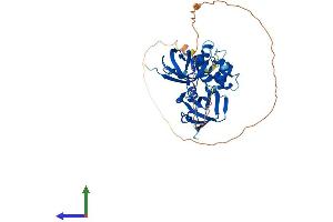Protein Structure (PS) image for Pyrin and HIN Domain Family, Member 1 (PYHIN1) (AA 1-420) protein (His tag) (ABIN7558913)