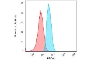 Flow Cytometric Analysis of T98G cells using GAD1 (GAD67) Mouse Monoclonal Antibody (GAD1/2563) followed by Goat anti-Mouse IgG-CF488 (Blue); Isotype Control (Red). (GAD 抗体  (AA 72-135))