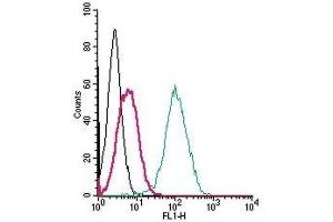 Cell surface detection of S1PR5 by indirect flow cytometry in live intact human THP-1 monocytic leukemia cells:  (black line) Cells. (S1PR5 抗体  (Extracellular, N-Term))