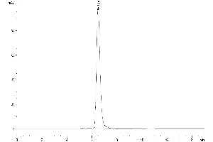 The purity of Biotinylated Human Axl is greater than 95 % as determined by SEC-HPLC.