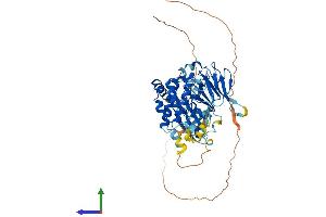 Protein Structure (PS) image for Checkpoint Kinase 2 (CHEK2) (AA 1-546) protein (His tag) (ABIN7565289)
