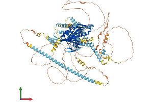 Protein Structure (PS) image for Kinesin Family Member 17 (KIF17) (AA 1-1038) protein (His tag) (ABIN7564933)