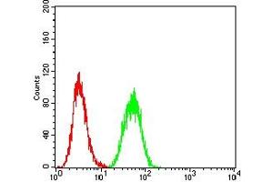 Flow Cytometry (FACS) image for anti-Catenin (Cadherin-Associated Protein), beta 1, 88kDa (CTNNB1) (AA 632-781) antibody (ABIN7193682)
