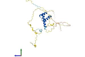 AlphaFold protein structure predicition of Human Recombinant HHEX Protein, UniprotID Q03014 (HHEX Protein (AA 1-270) (His tag))