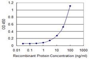 Detection limit for recombinant GST tagged MAFA is 1 ng/ml as a capture antibody. (MAFA 抗体  (AA 222-308))