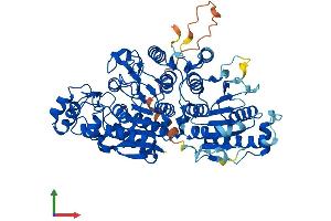 Protein Structure (PS) image for Histone Deacetylase 10 (HDAC10) (AA 1-666) protein (His tag) (ABIN7557990)